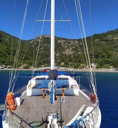 Seaborn Legend Φετιγιέ
