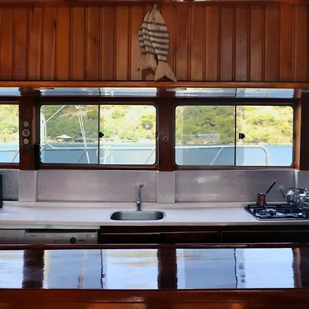 Seaborn Legend فتحية